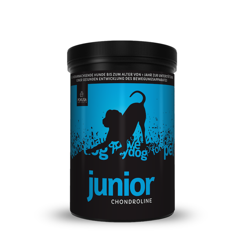 Pokusa - ChondroLine Junior 350g, Pokusa_for_health