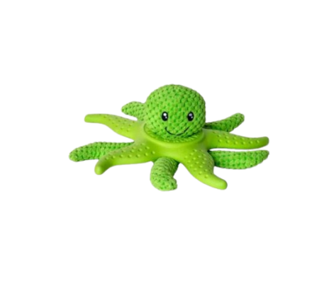 Kiwi 2-in-1 Spielzeug Oktopus & Seestern für Hunde