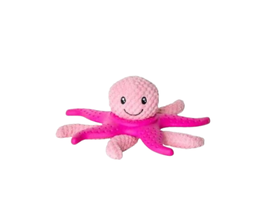 Oktopus & Seestern Bei Kiwi Walker