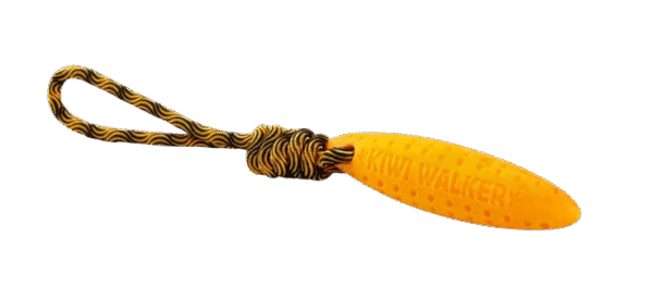 KIWI WALKER - Zeppelin Orange